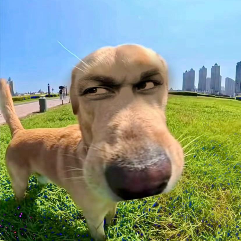 海宁富来登皮衣