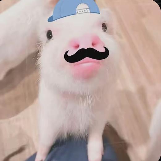 人美心善嫁豪门
