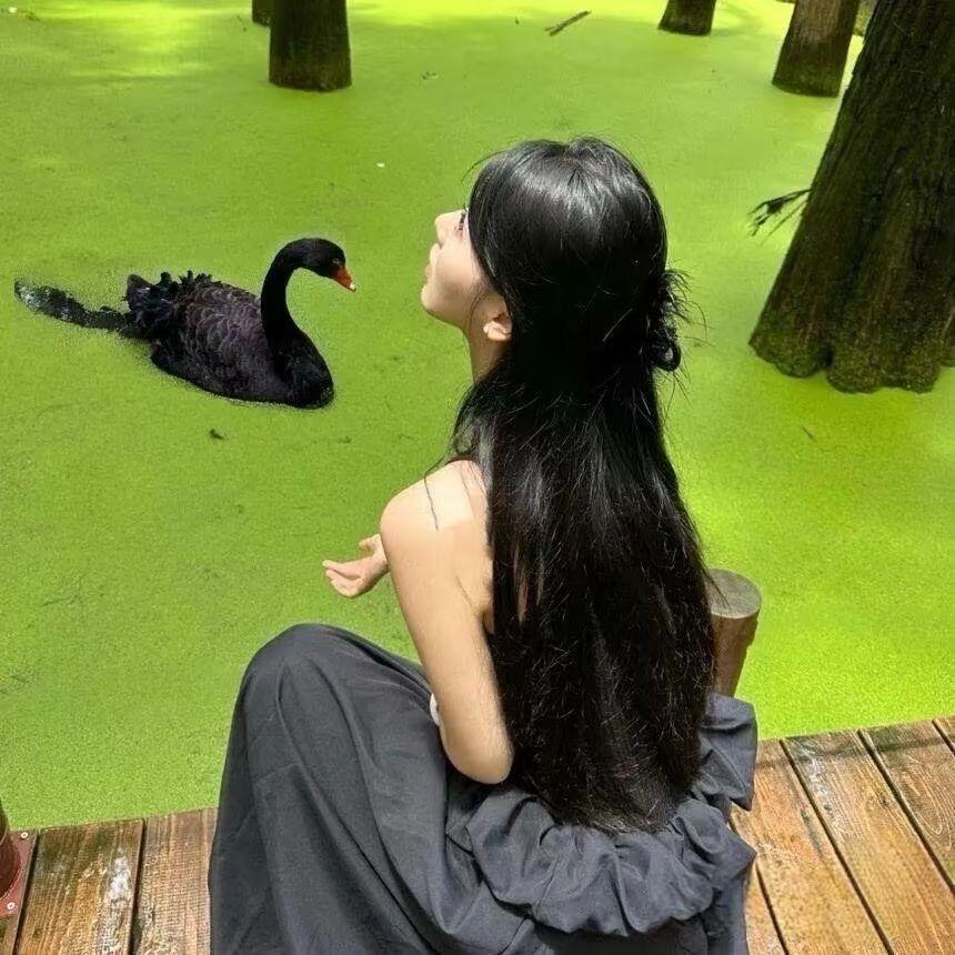 会飞的生菜