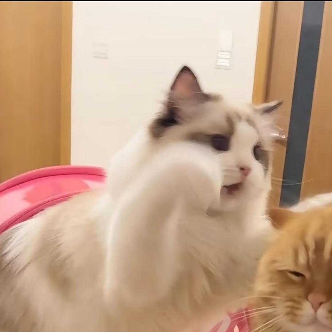 玛卡巴卡