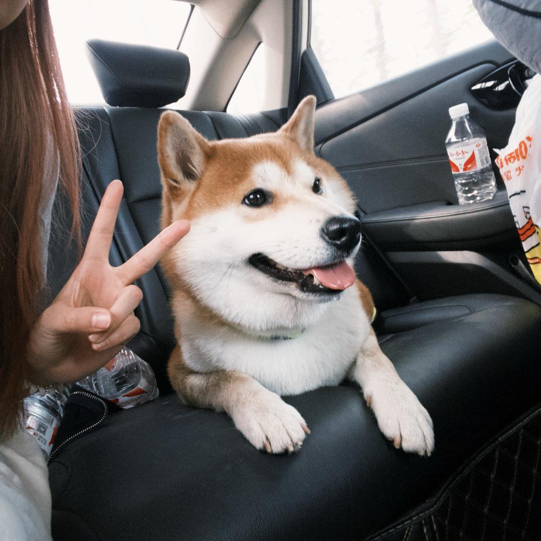 柴七七
