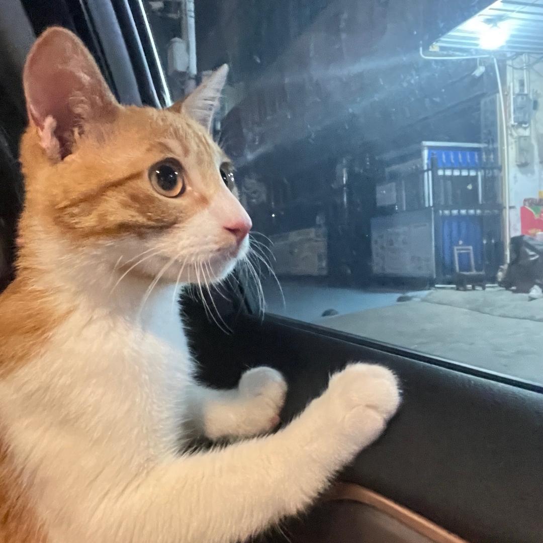 现在就发财