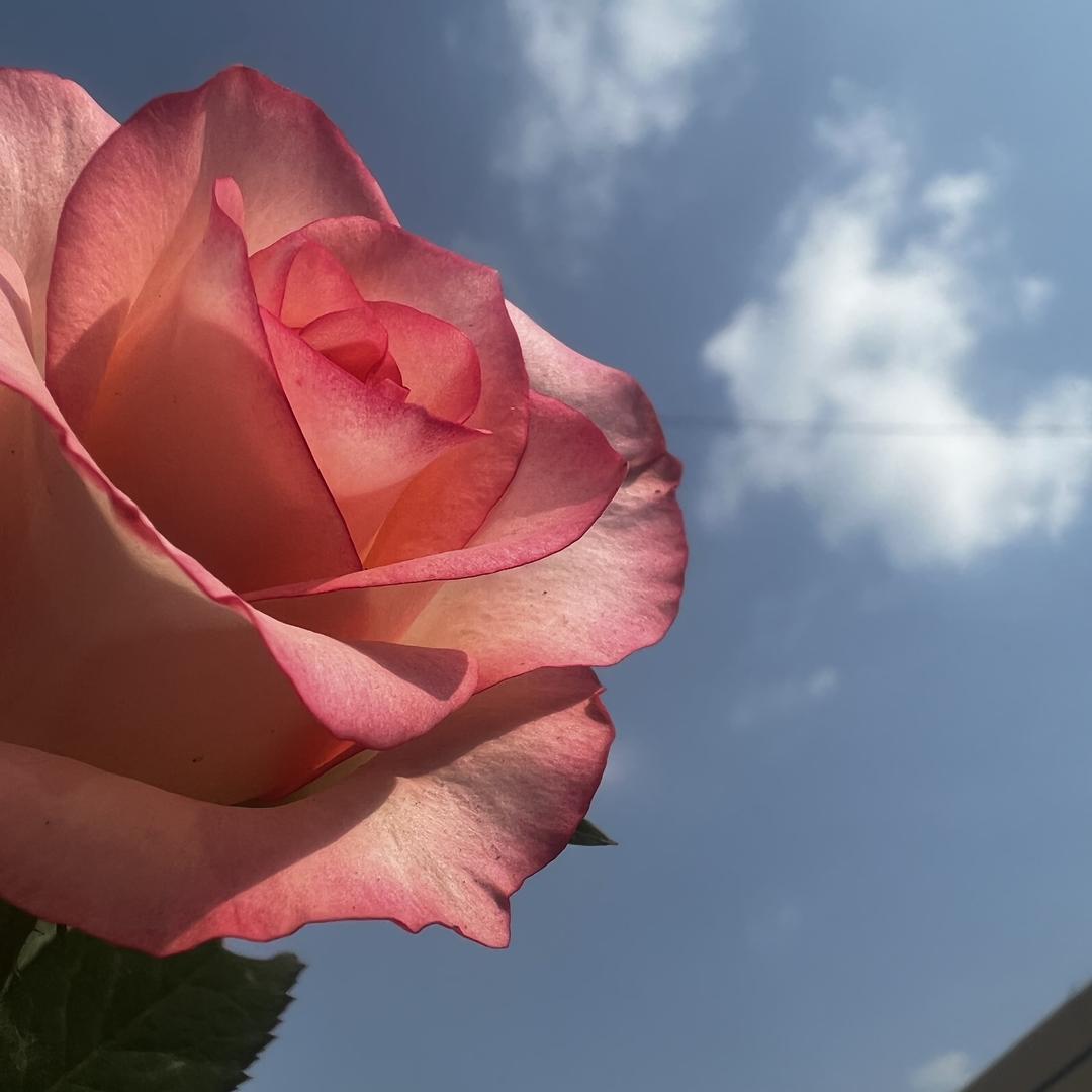 用户关绿绿服装厂