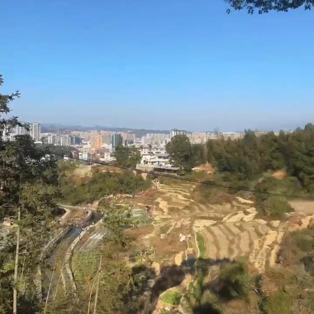 爱静