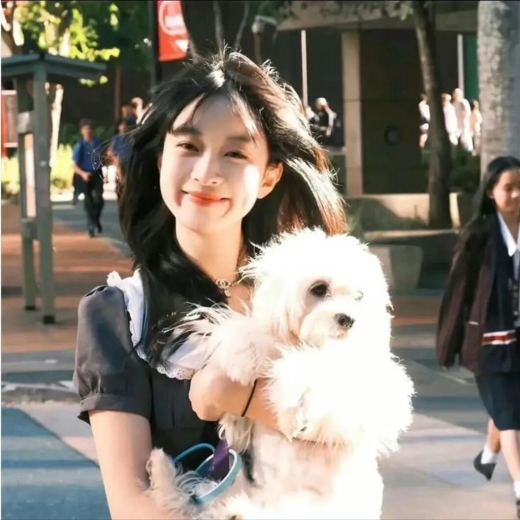 美美发财致富