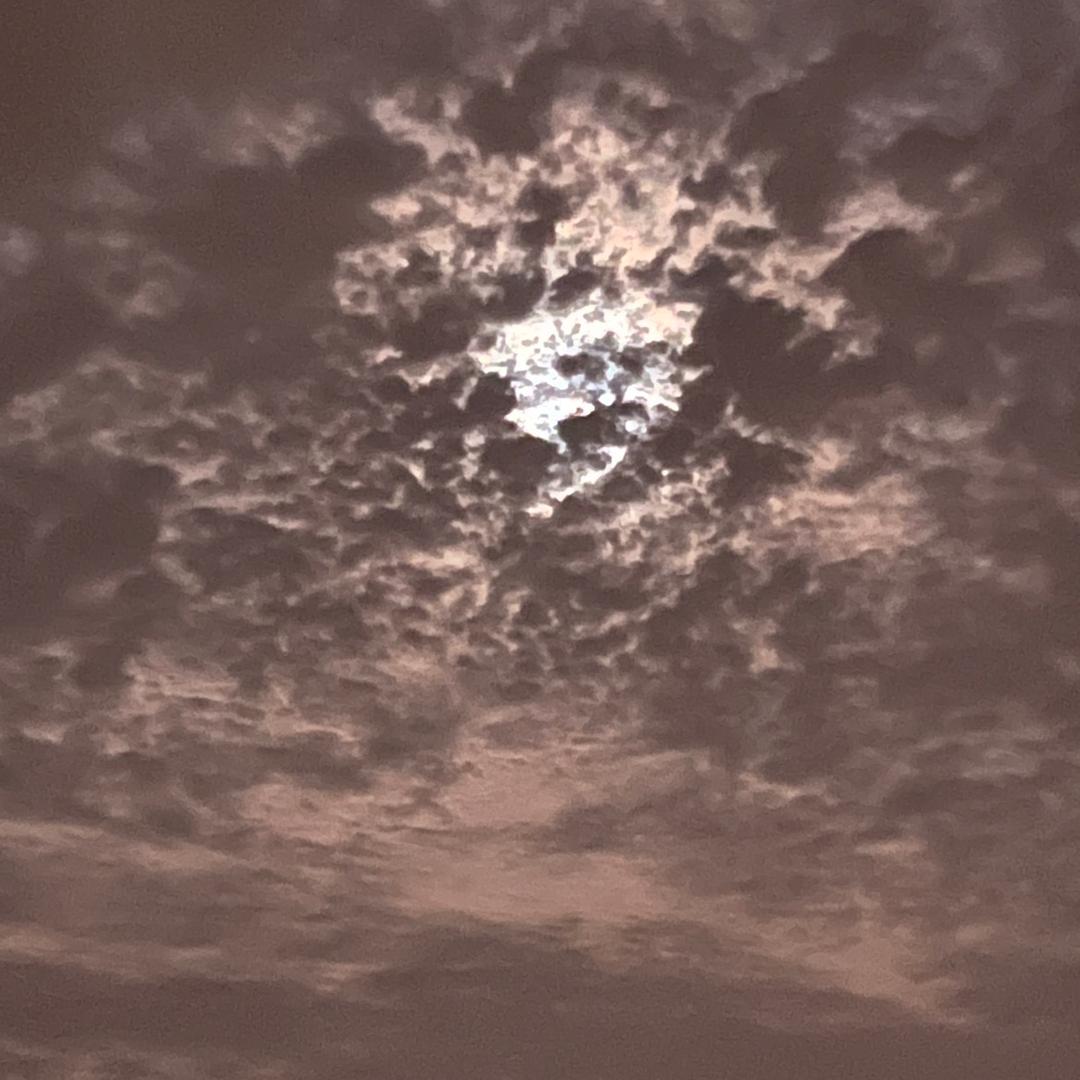 太行山盆景园
