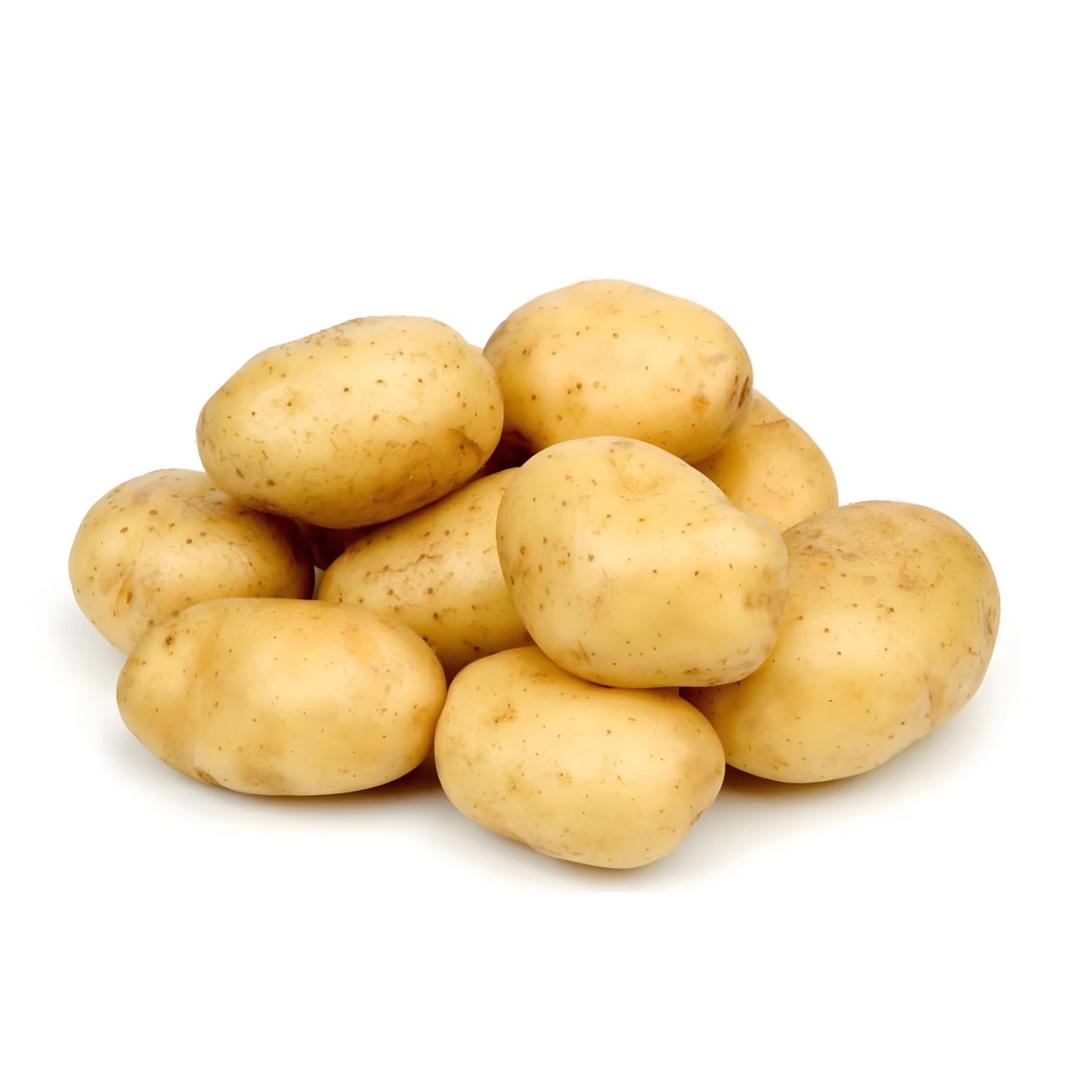 小土豆🥔🐾