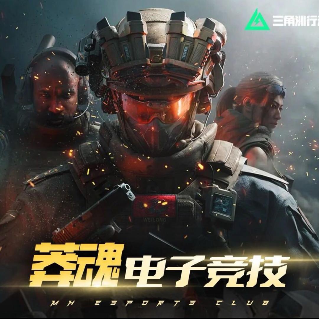 莽魂电竞（三角洲行动）