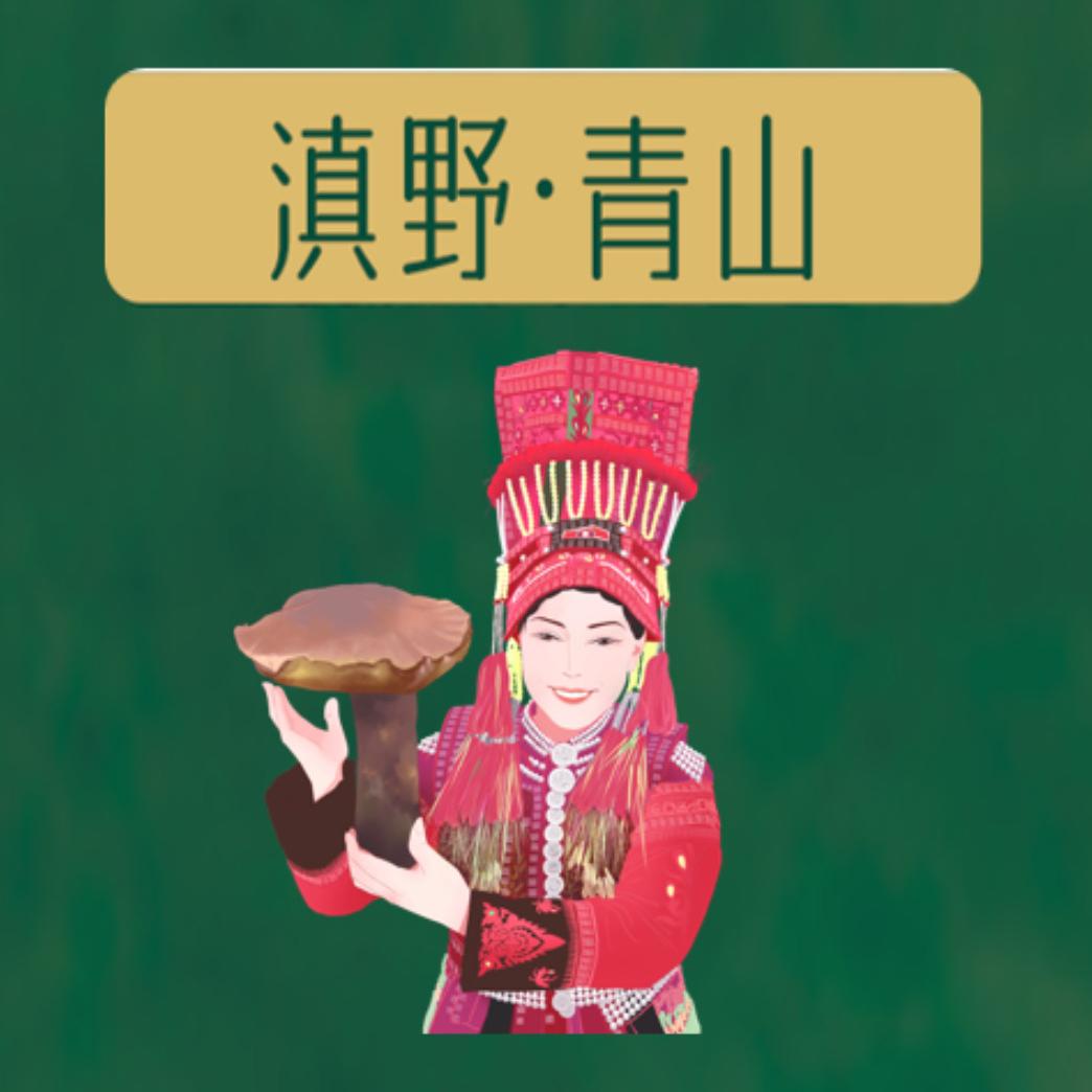 滇野青山优品小铺