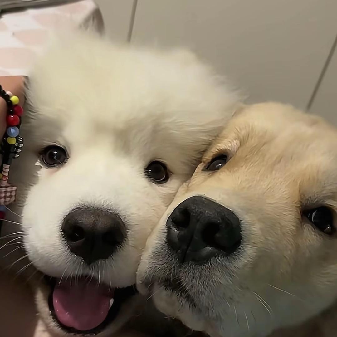 牛肉拌饭