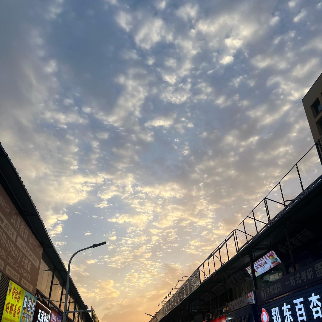 我以为你们都在