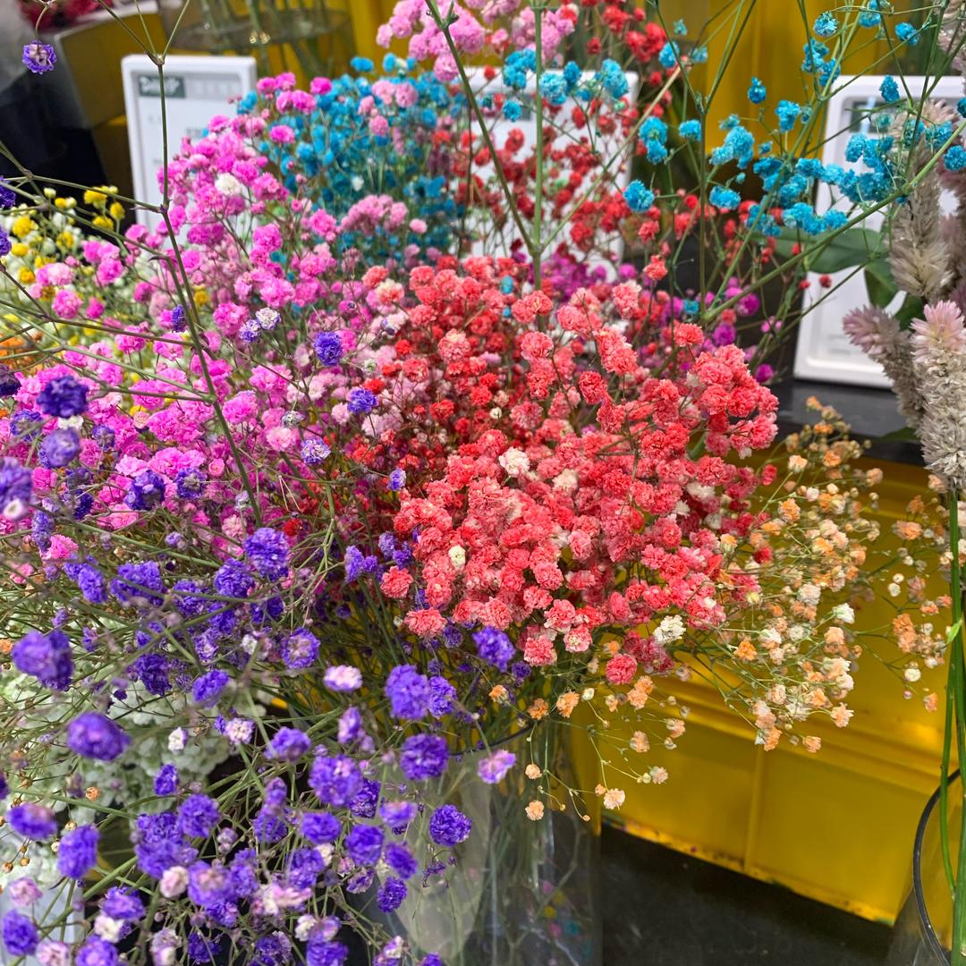 Ayy
