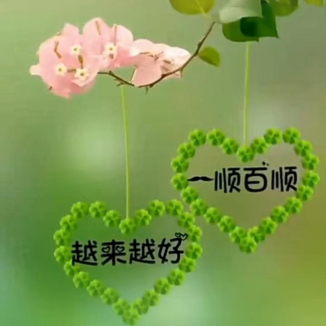 珍
