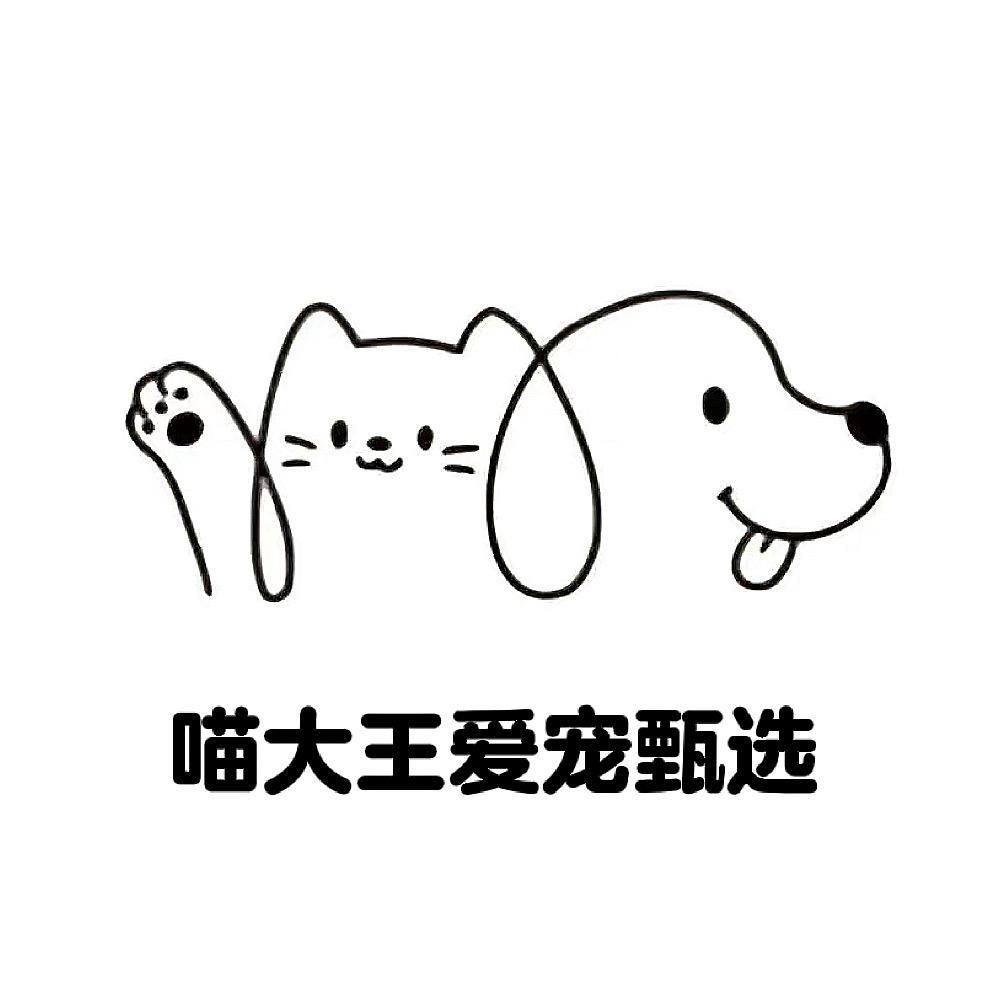 喵大王爱宠优选