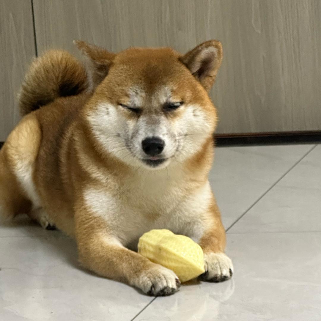 懒懒O.o
