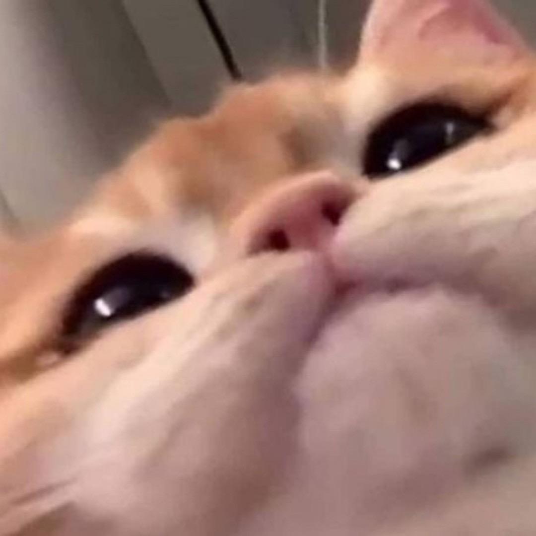 你有关节炎/•᷅•᷄\୭