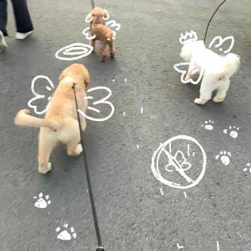 她说你好可爱
