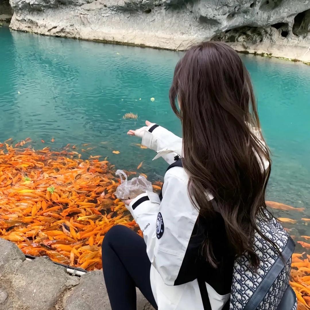 🐳雨歌