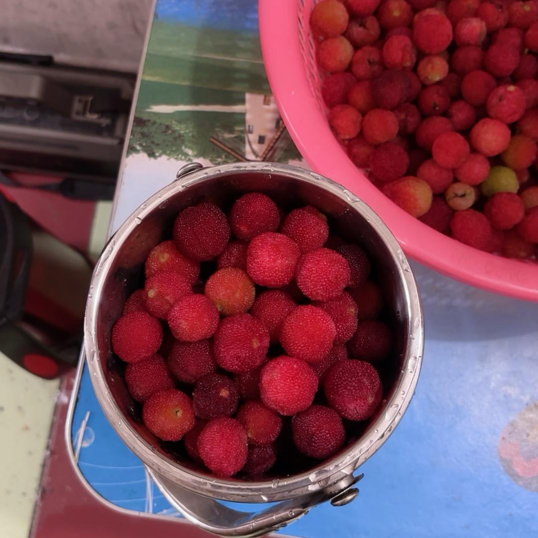 铁石一支花风流