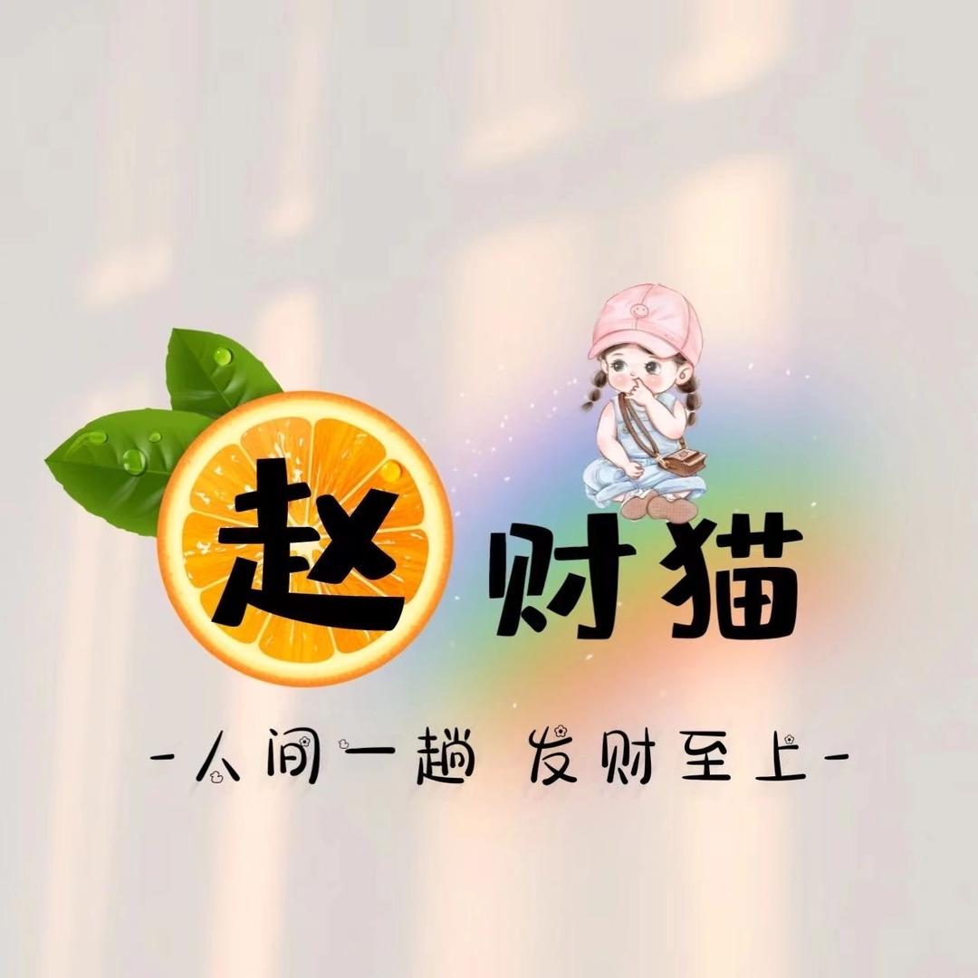 赵镜子