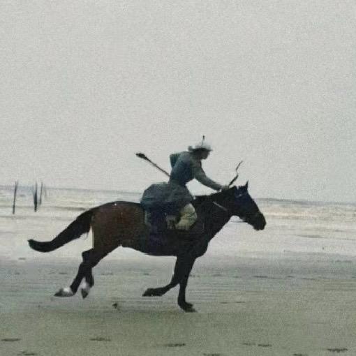 醒醒b