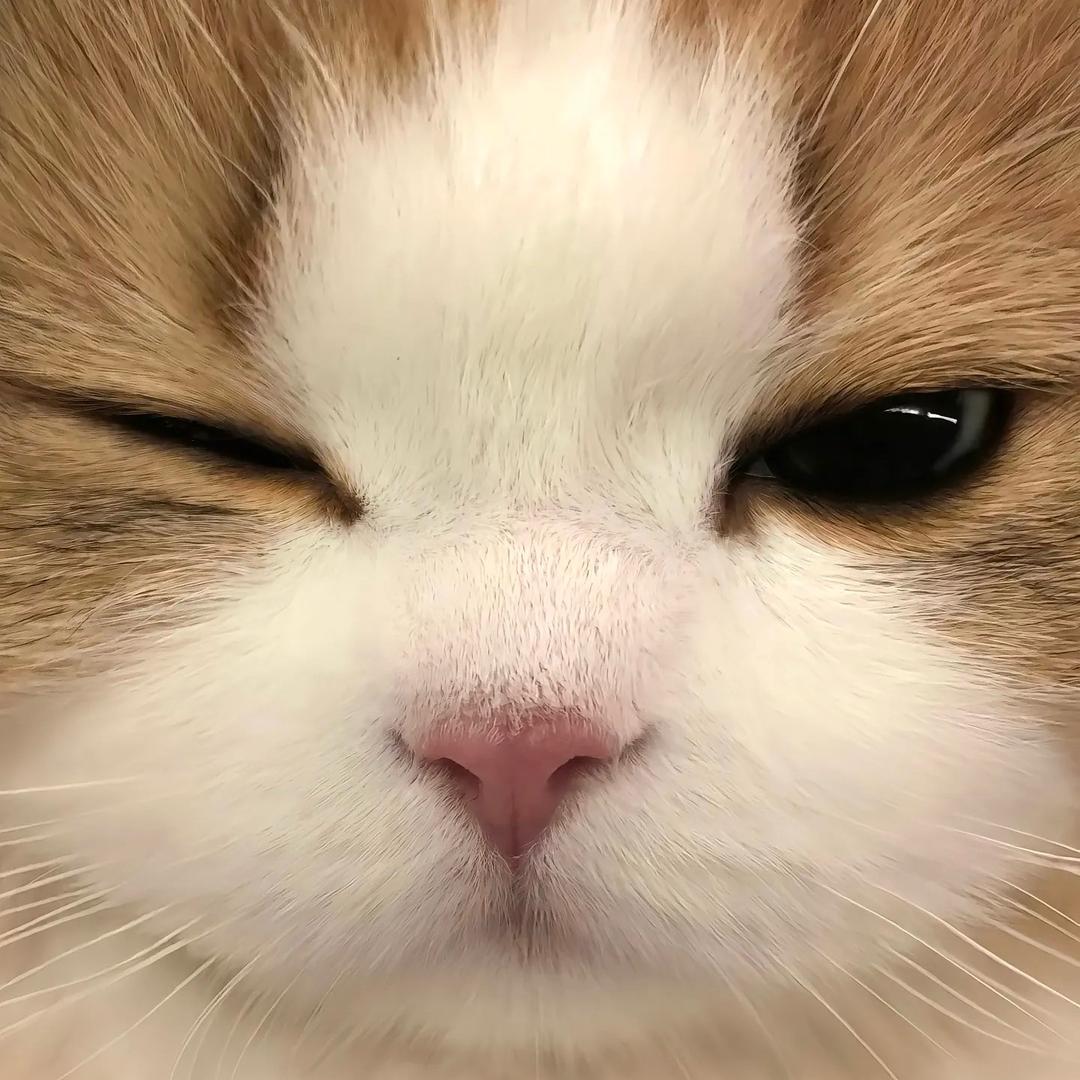 小程睡不醒