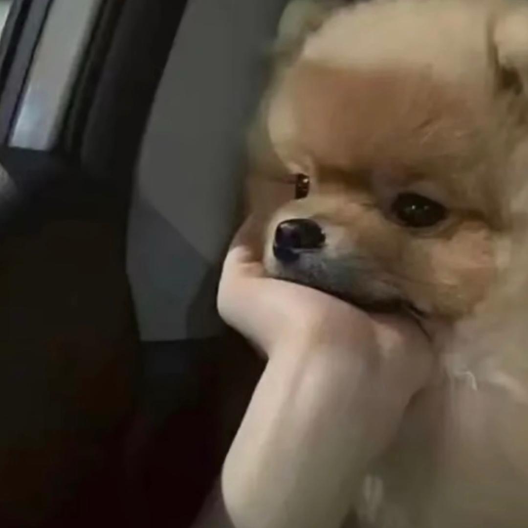 动次打次❤️（最拉主持❤️）