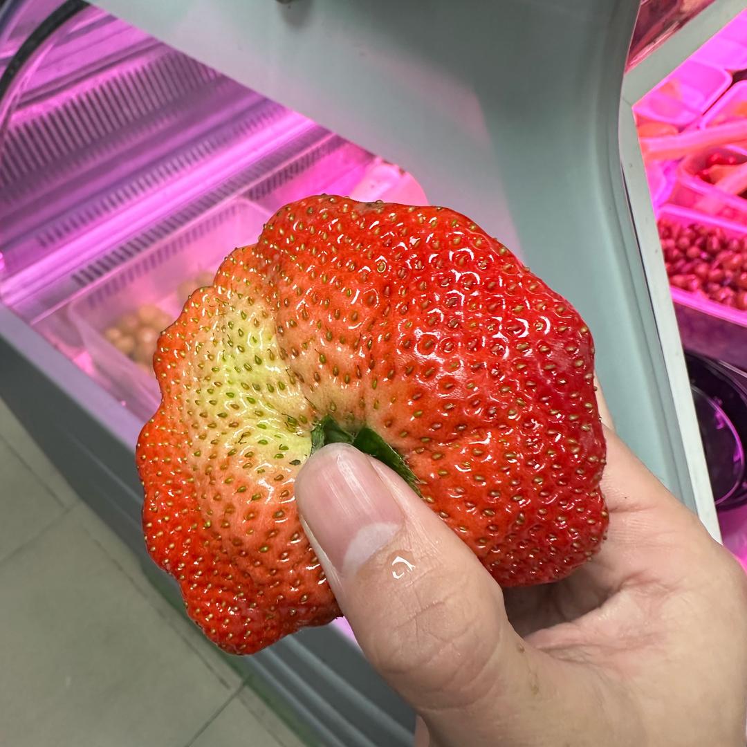 TK的萨子