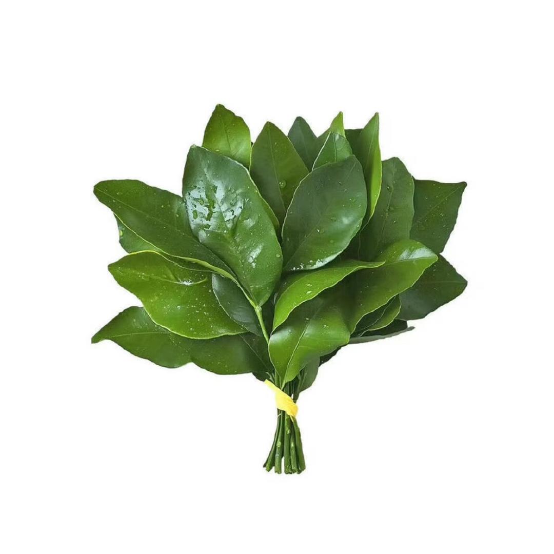 珍小珍