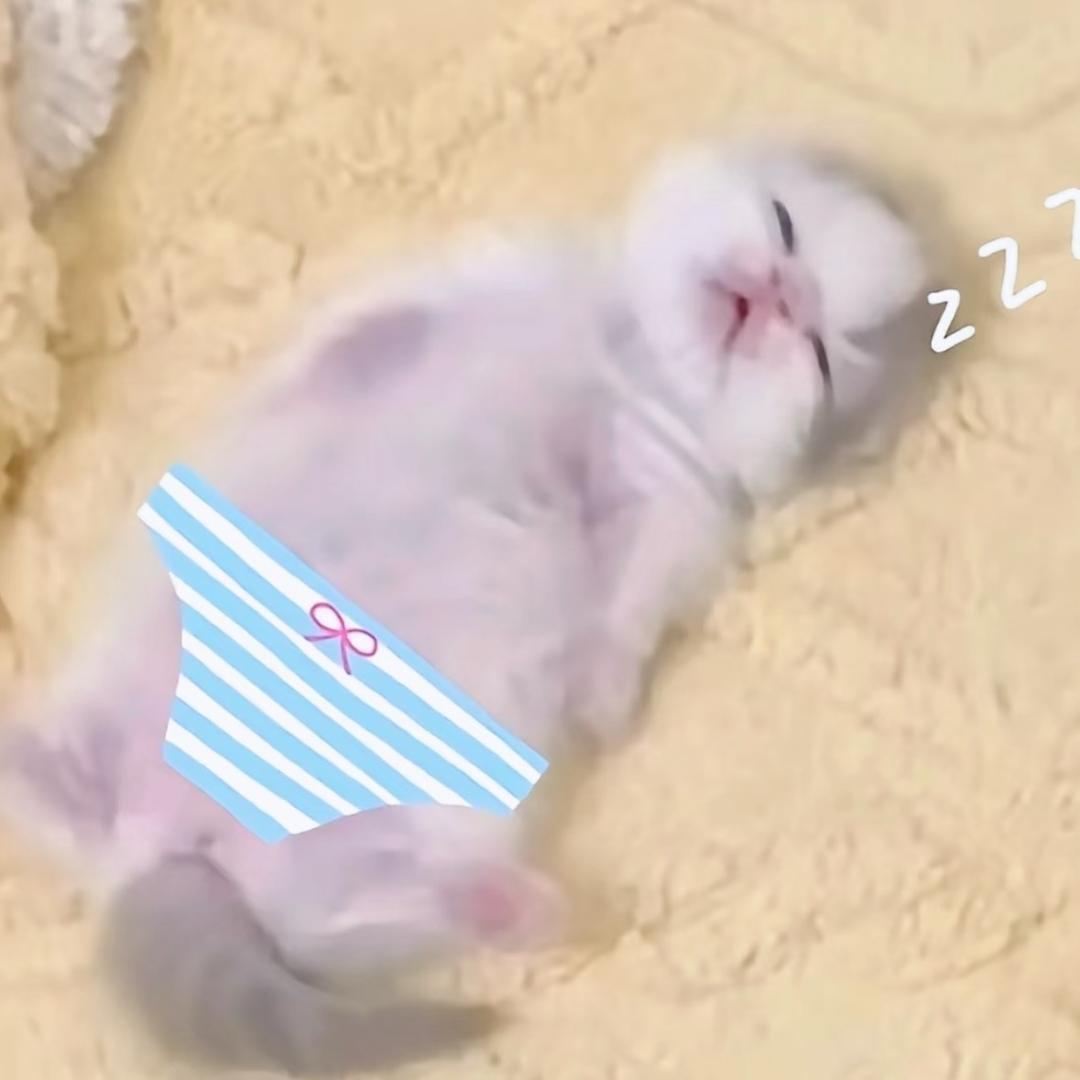 我有厌蠢症