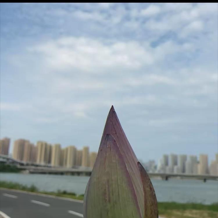 连祥图文广告(合景·峰汇国际二期店)苏州联音信息科技（有限公司）