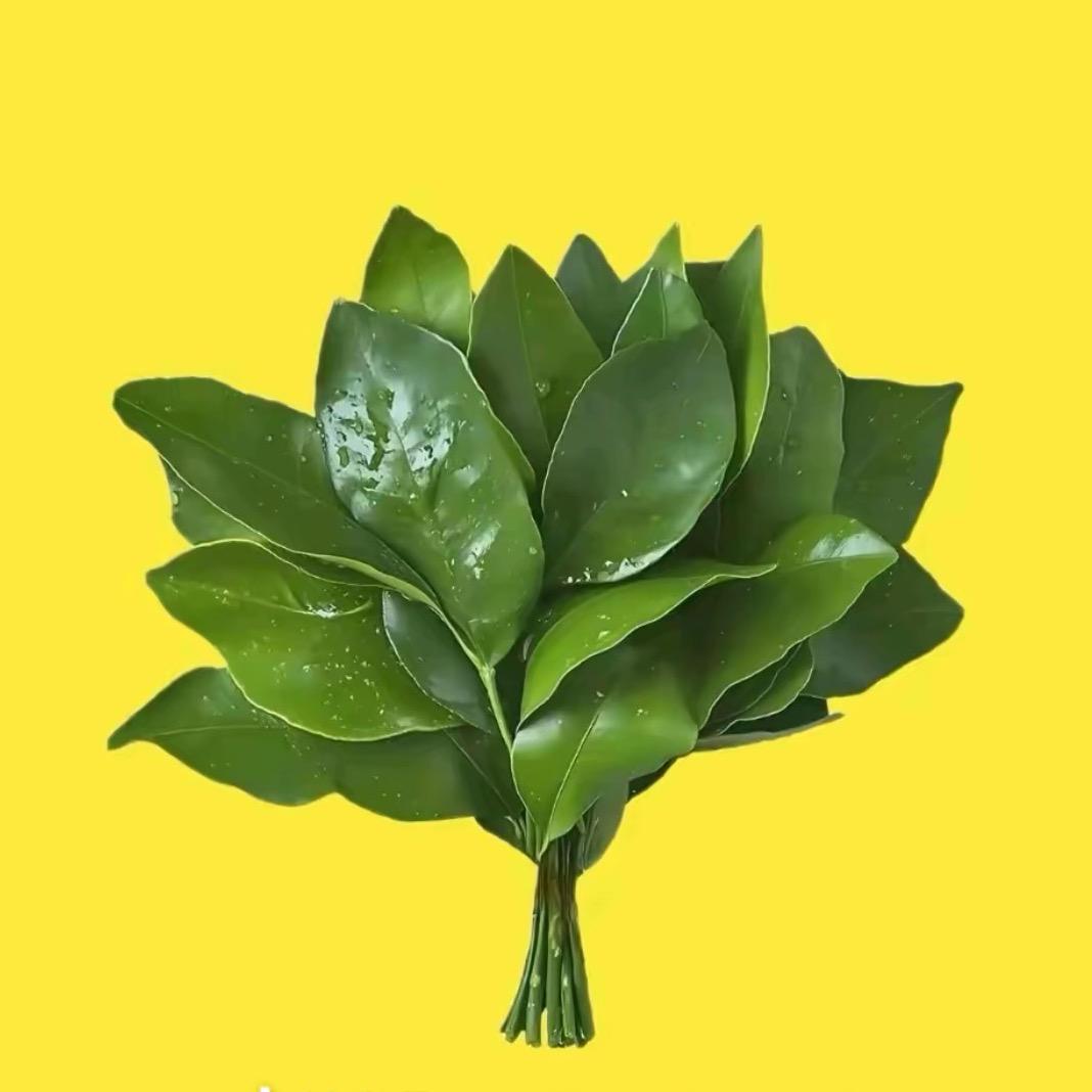 张欣晗