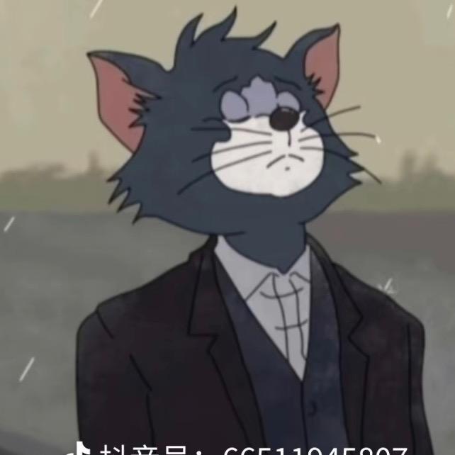 淮南手机维修小小段