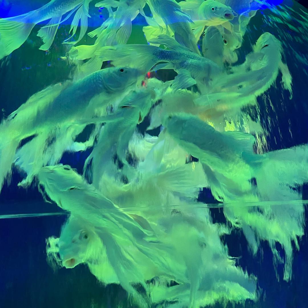 温暖阳光