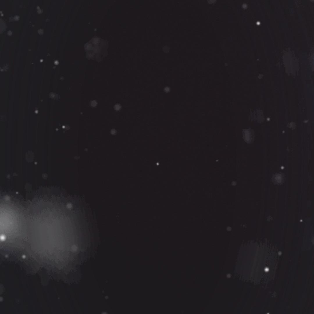 最愛baby的bb🐬💜