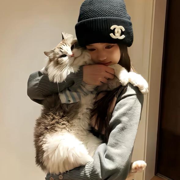 QQQ