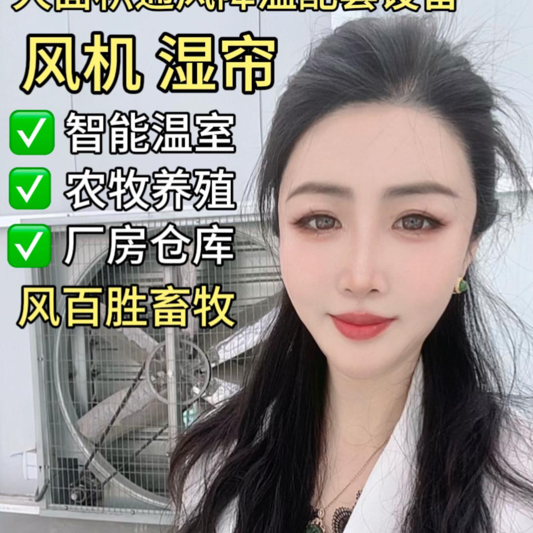 风机厂老板娘