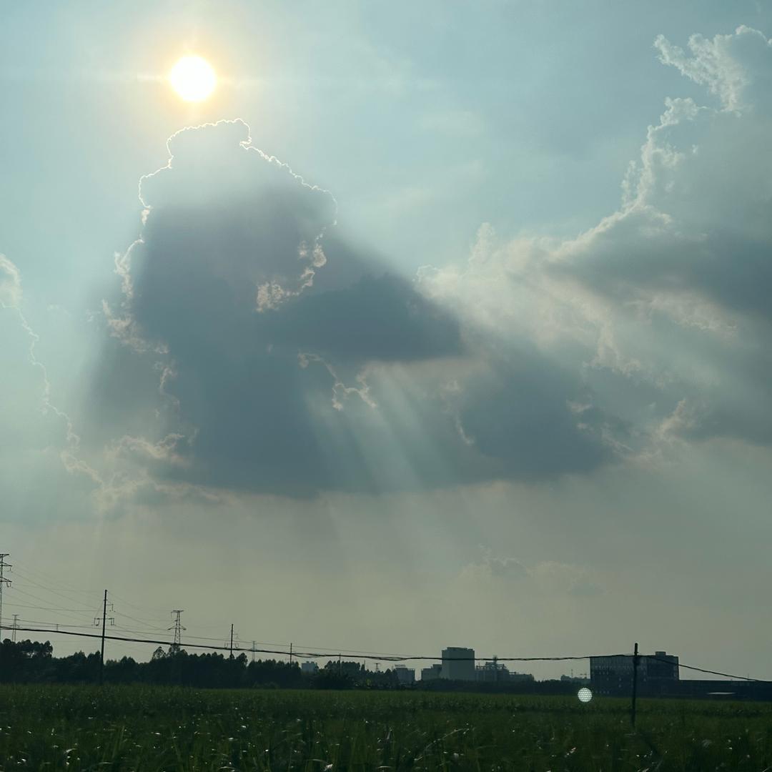 舞格—XF