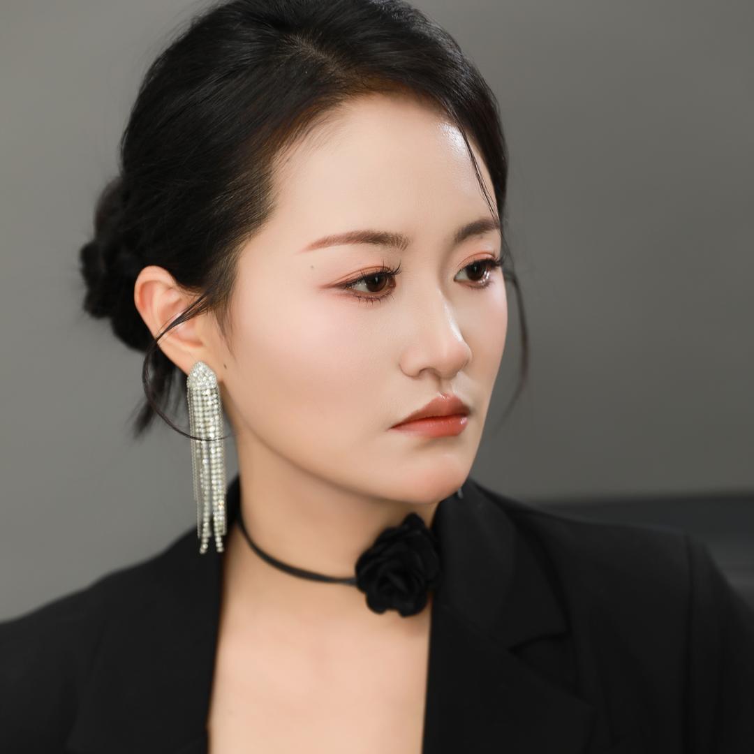 合肥北城卖房子的婷姐