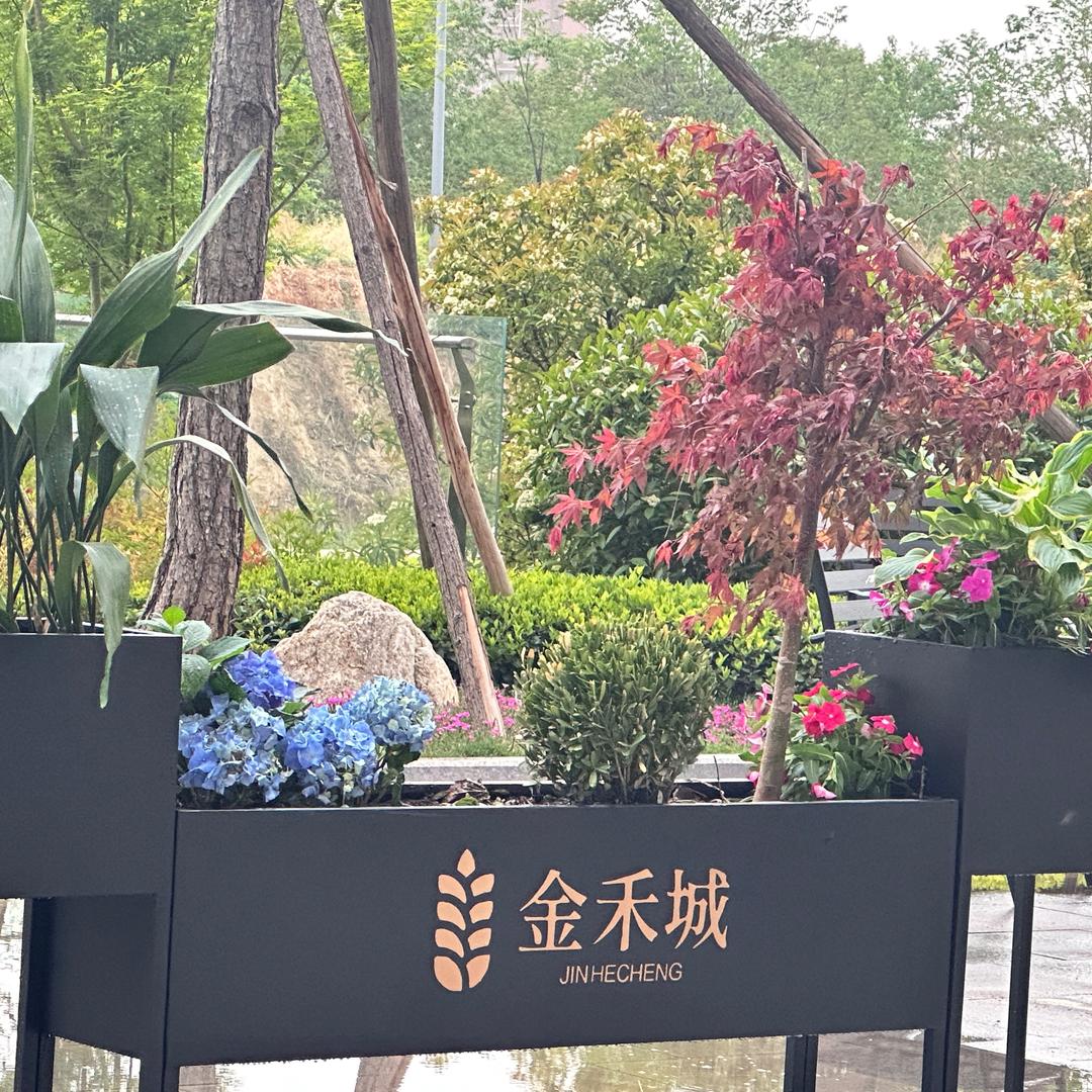 韩城金禾城小沈