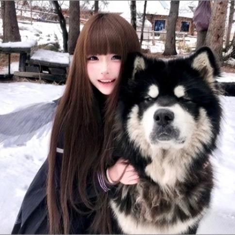 热带小鸟