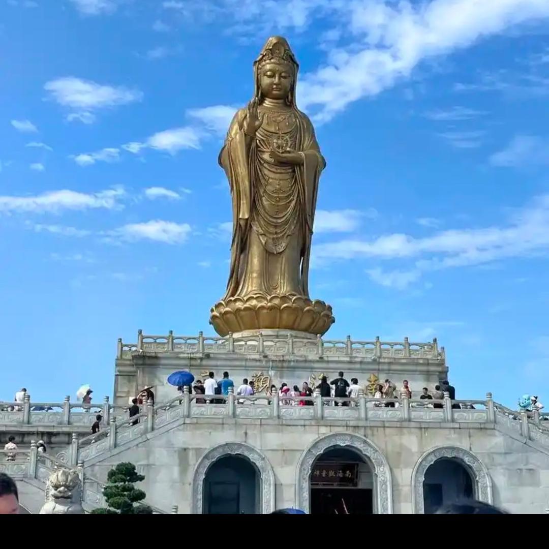 🍗财运滚滚来🍗 ⑱