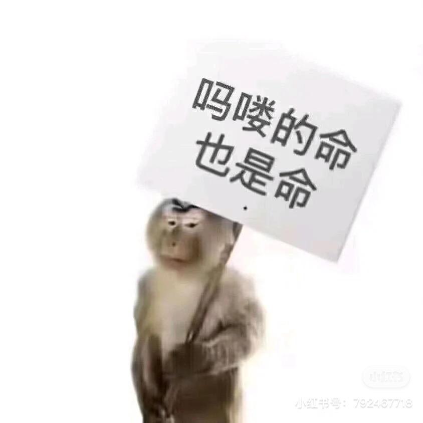 小苏必定早睡！