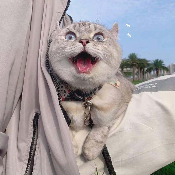 小二.