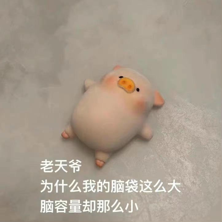哈皮尼斯