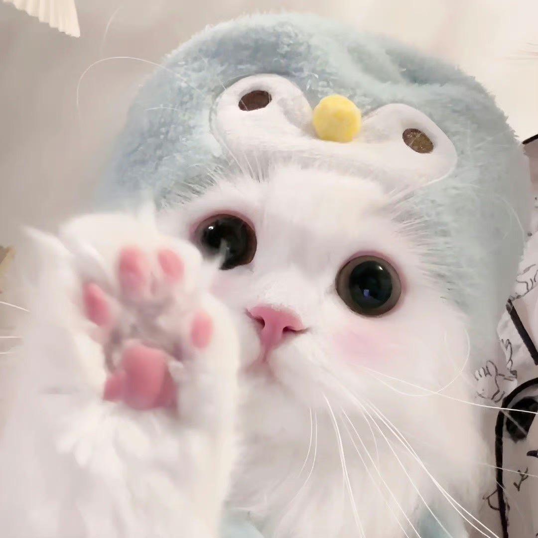 蒋万吨