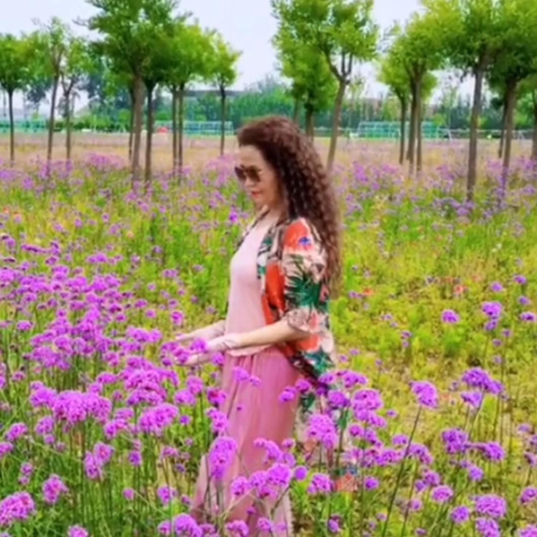 🌹🌹卡蜜儿💃💃