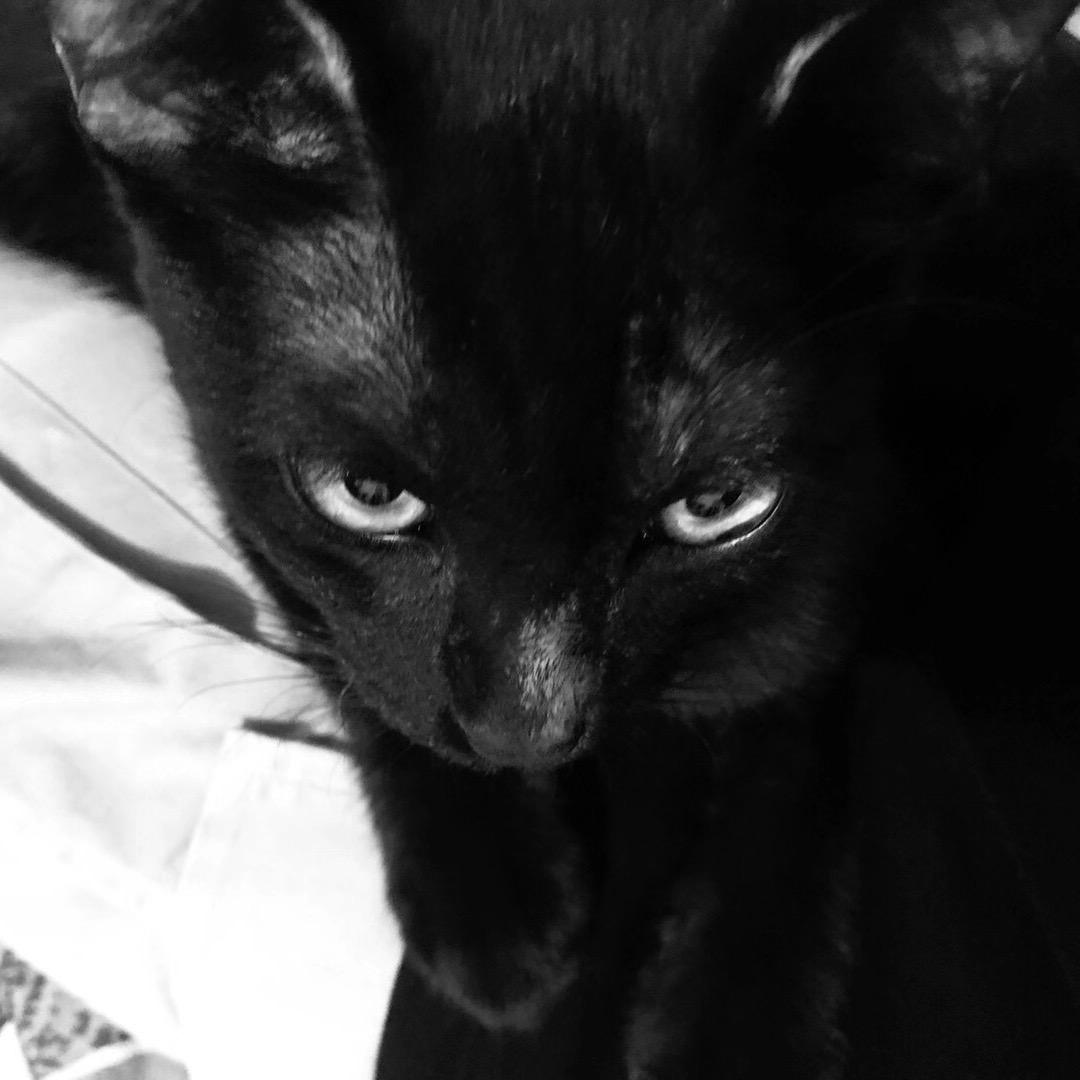 MIAO00