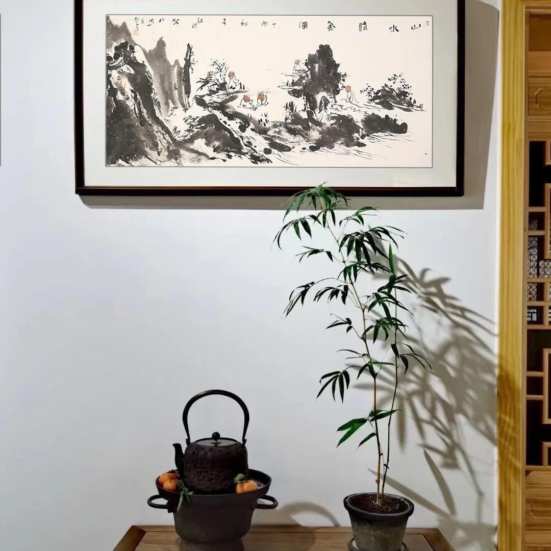 竹庐画禅美术馆