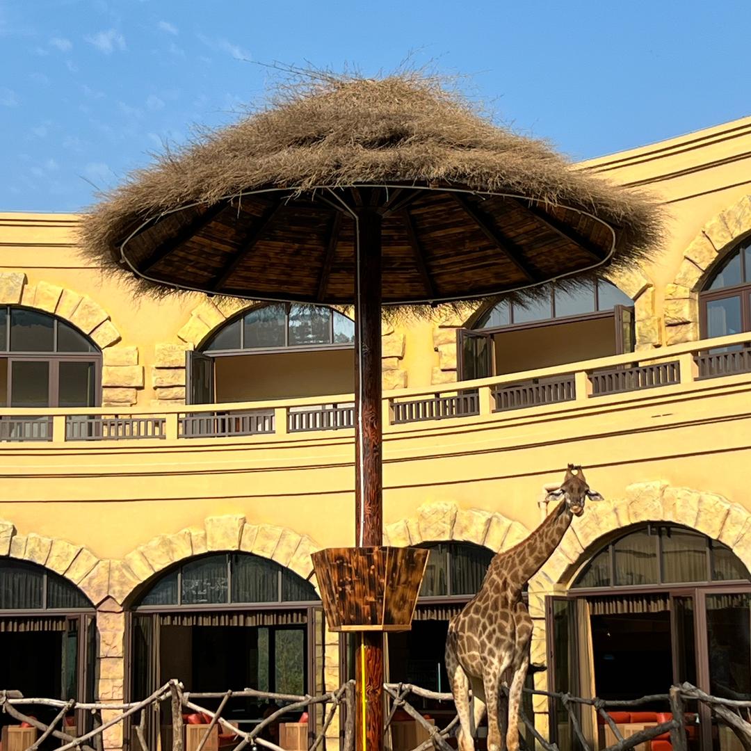 三峡景区推荐官